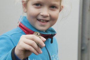 Natuurwerkdag 2015